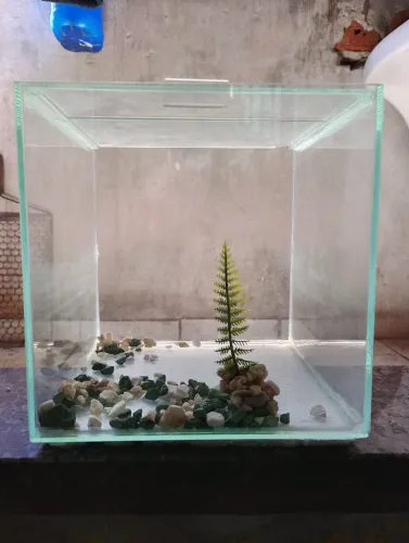 Vendo um kit aquário termostato