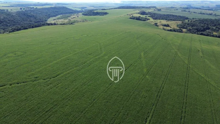 FAZENDA Á VENDA EM CORNÉLIO PROCÓPIO - PR