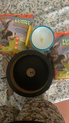 kit hamster rodinha 