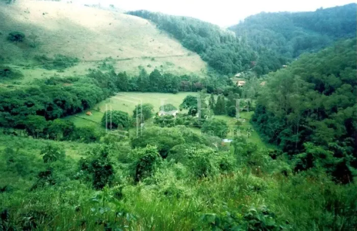 Linda Fazenda, Plana em um Vale, Região de Petrópolis-RJ!
