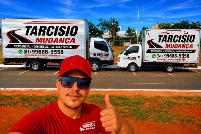 Frete samambaia brasilia goiania