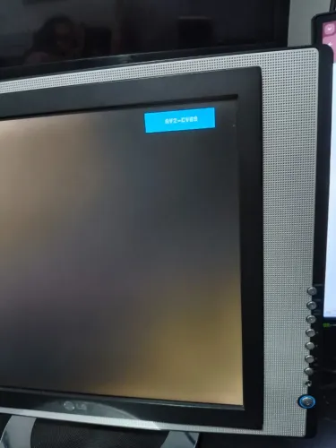 Monitor LG L173SA Com TV