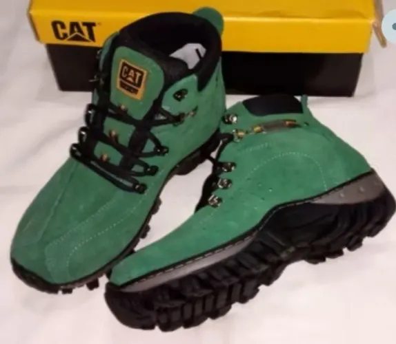Bota cartepilar
