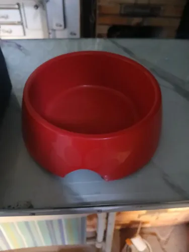 Tigela de cachorro