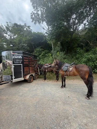 Carretinha Cavalos 2 eixos 