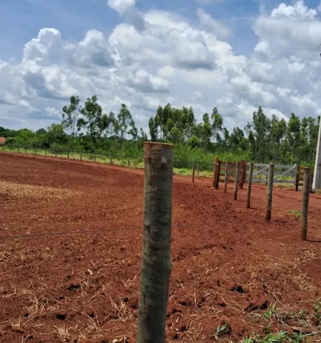 CÓD 582 | Chácara 2,5 ha Região Gameleira | Campo Grande/MS