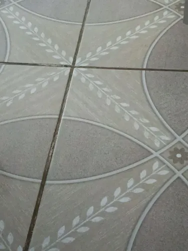 Alugo casa para pessoa sozinha ou casal