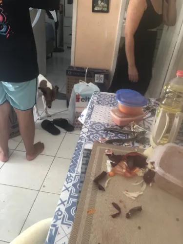 Vendo um portão grande