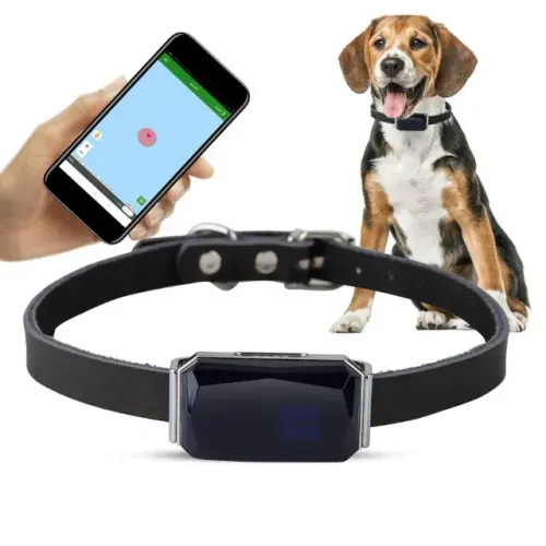 (NOVA) Coleira GPS para gato ou cachorro a prova d' água com microfone