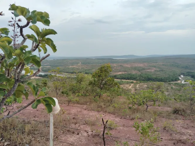 lote ,fazendinha três Marias