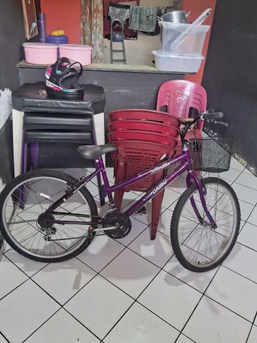 Bike Aro24