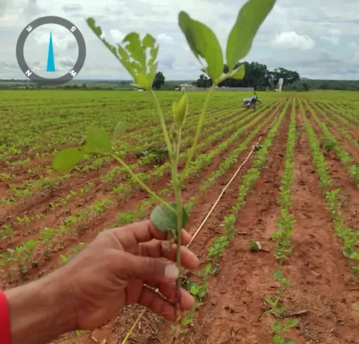 Fazenda a venda, em Almas Tocantins!!!
