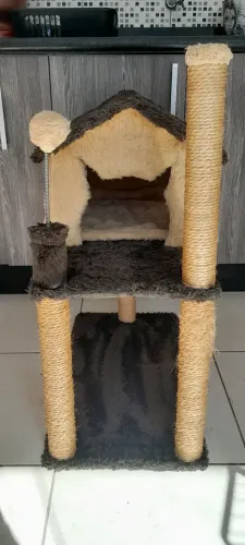 Casinha para gatos