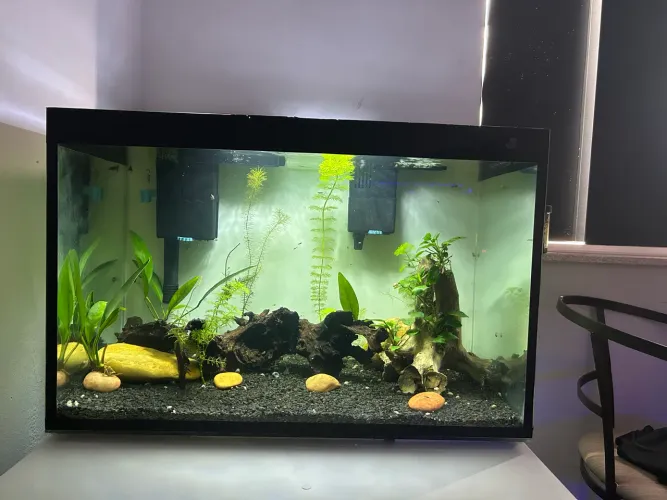 Aquario -126lt