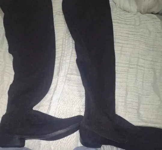 Bota