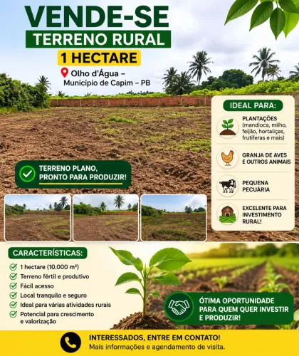 Terreno