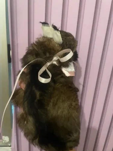 Fêmea 