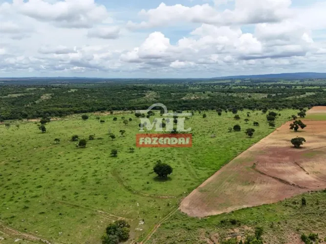 Fazenda 110 Alqueires (533 Hectares) Bom Jardim de Goiás - GO
