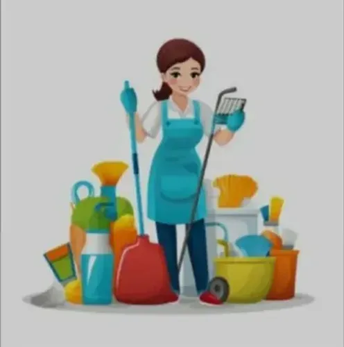 SOU DIARISTA FAXINEIRA .