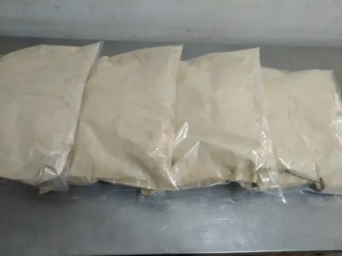 Cogumelo Juba de leão  100 grs