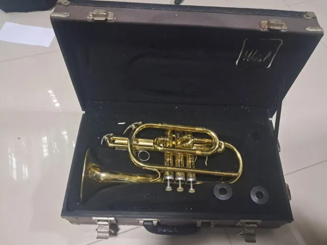 Sax Alto para reforma
