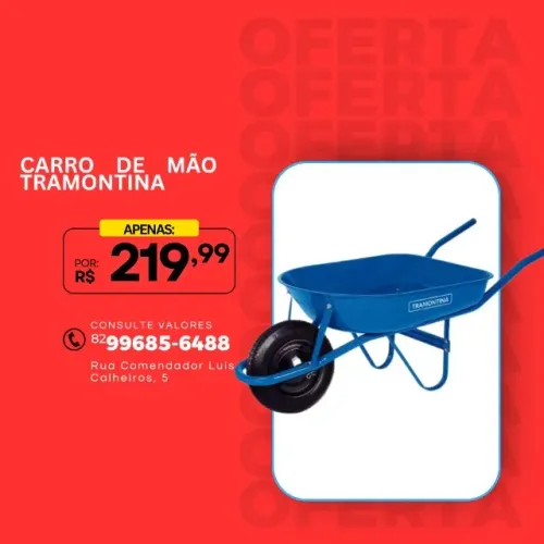 Carrinho de Mão com Caçamba Rasa e Braço Metálico e Pneu com Câmara Azul 50L