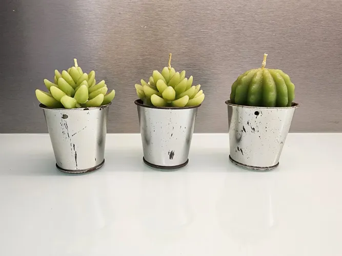 Trio Vasos velas de Cacto e Suculentas Decorativas rustico vintage 9cm
