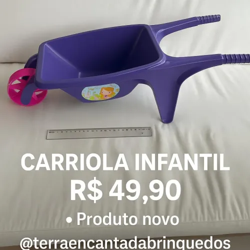 Carriola Infantil Roxa - Diversão Garantida!