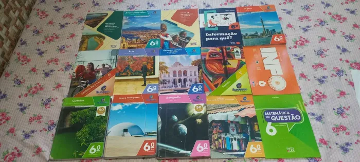 Livros 6° ano editora sucesso
