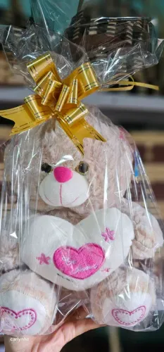 Urso de Pelúcia - Novo e Lindíssimo!