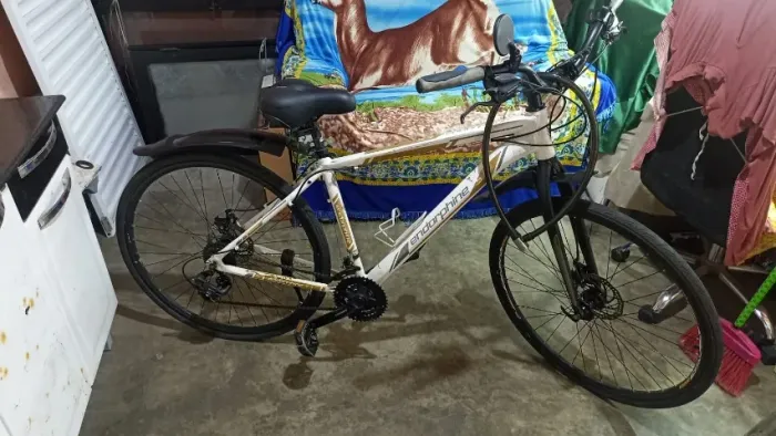 Bicicleta Aro 700x38 (equivalente aro 29) Endorphine 5.3