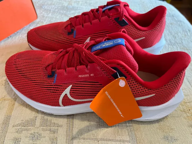 Nike air pegasus 40 tam 41 (9,5). Nunca usado. Original com nf