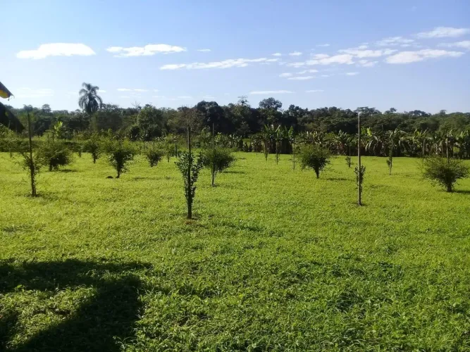 CHÁCARA COM 135.000M2 COM LINDA VISTA E DOCUMENTADO POR 1250.000MIL