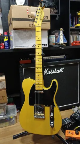 Guitarra Fender Telecaster American Professional ii 2024