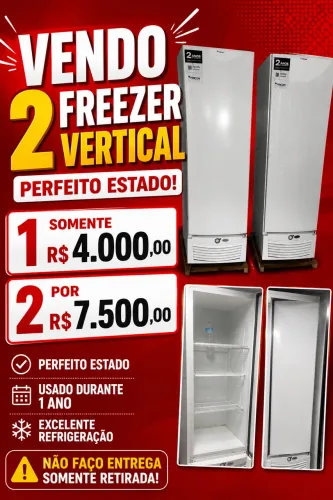 Freezer vertical
