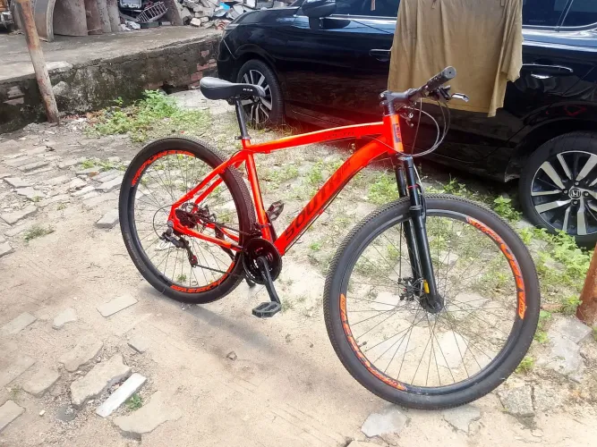 Bicicleta aro 29
