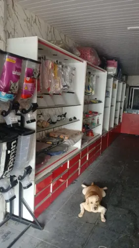 Pet shop completo 