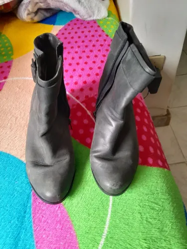 Bota