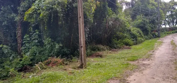 TERRENO EM RUA TRANQUILA E COM VISTA