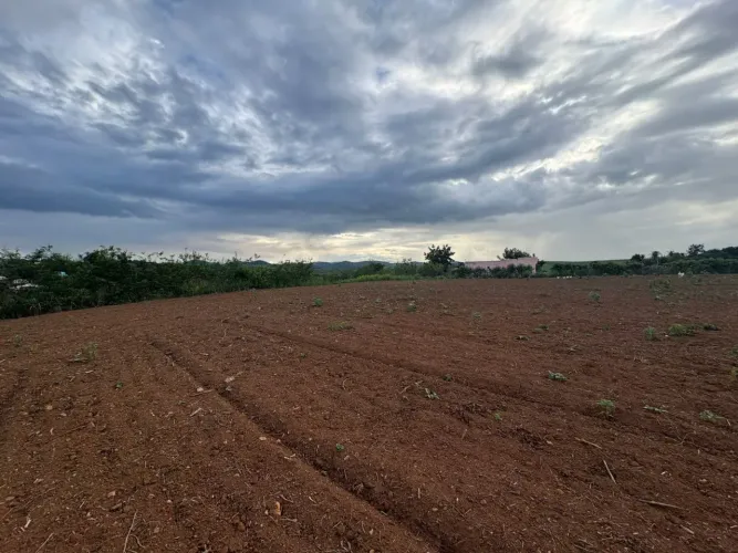 Sitio 1.5 hectares