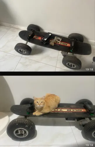 Skate Elétrico Sk8Tronik 800w