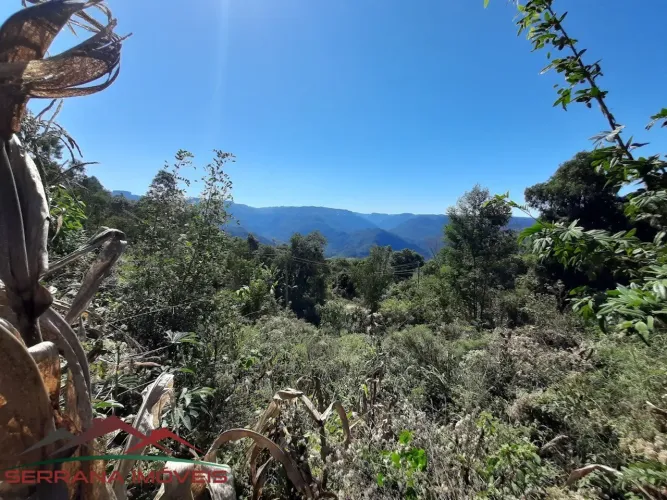 TERRENO RURAL em Nova Petrópolis - RS, Linha Araripe
