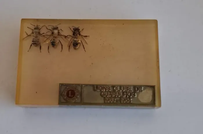 Objeto de recordação ou colecionável em Resina