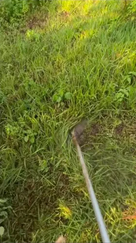Serviço de roçado , limpeza de lote