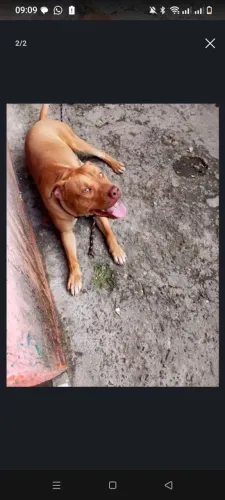 Doação