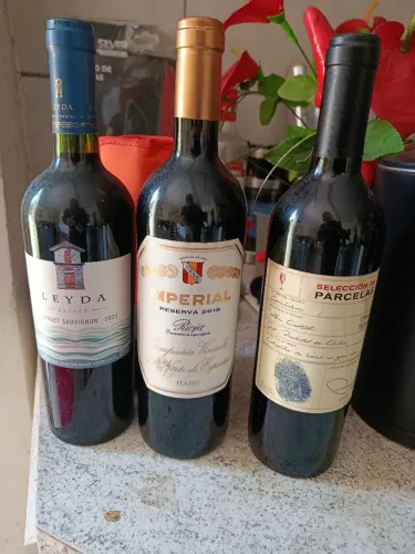 3 Vinhos Branco Suaves