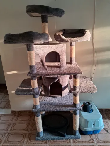 Casinha de gato 