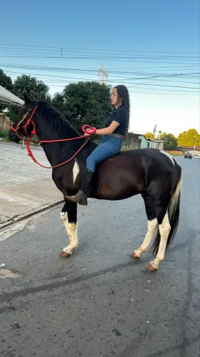 Cavalo manga larga