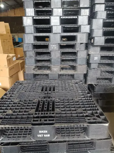 Paletes de plástico