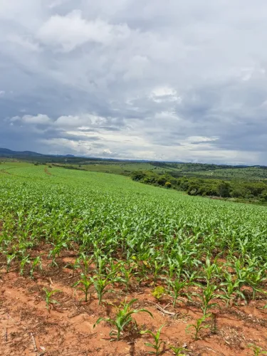 Fazenda a venda em Conceição do Mato Dentro MG
